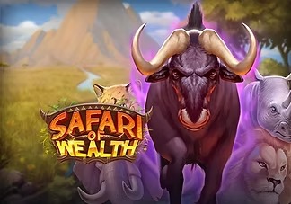 safari-of-wealth
